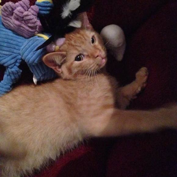 Meet your Posher, Fabien - Picture 1 of 1